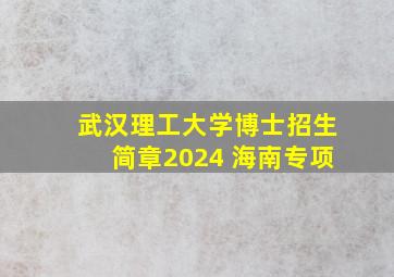 武汉理工大学博士招生简章2024 海南专项